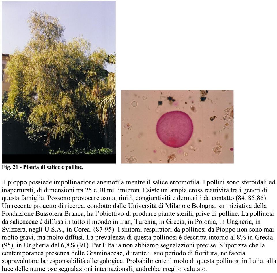 Un recente progetto di ricerca, condotto dalle Università di Milano e Bologna, su iniziativa della Fondazione Bussolera Branca, ha l obiettivo di produrre piante sterili, prive di polline.
