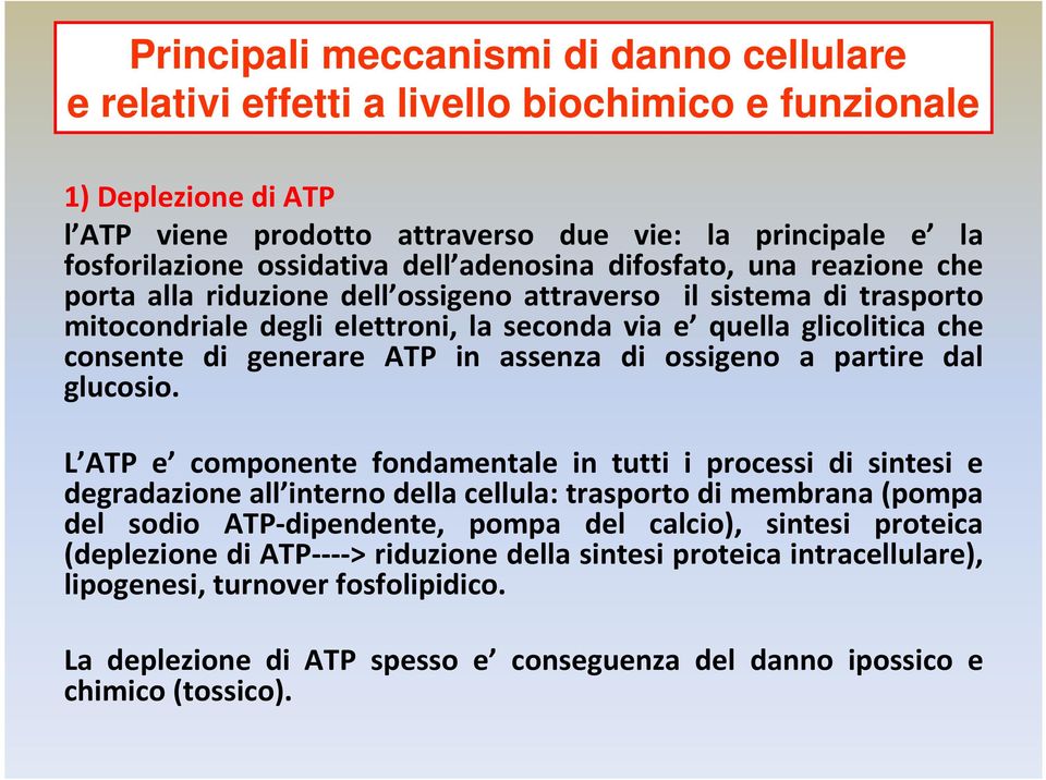 generare ATP in assenza di ossigeno a partire dal glucosio.