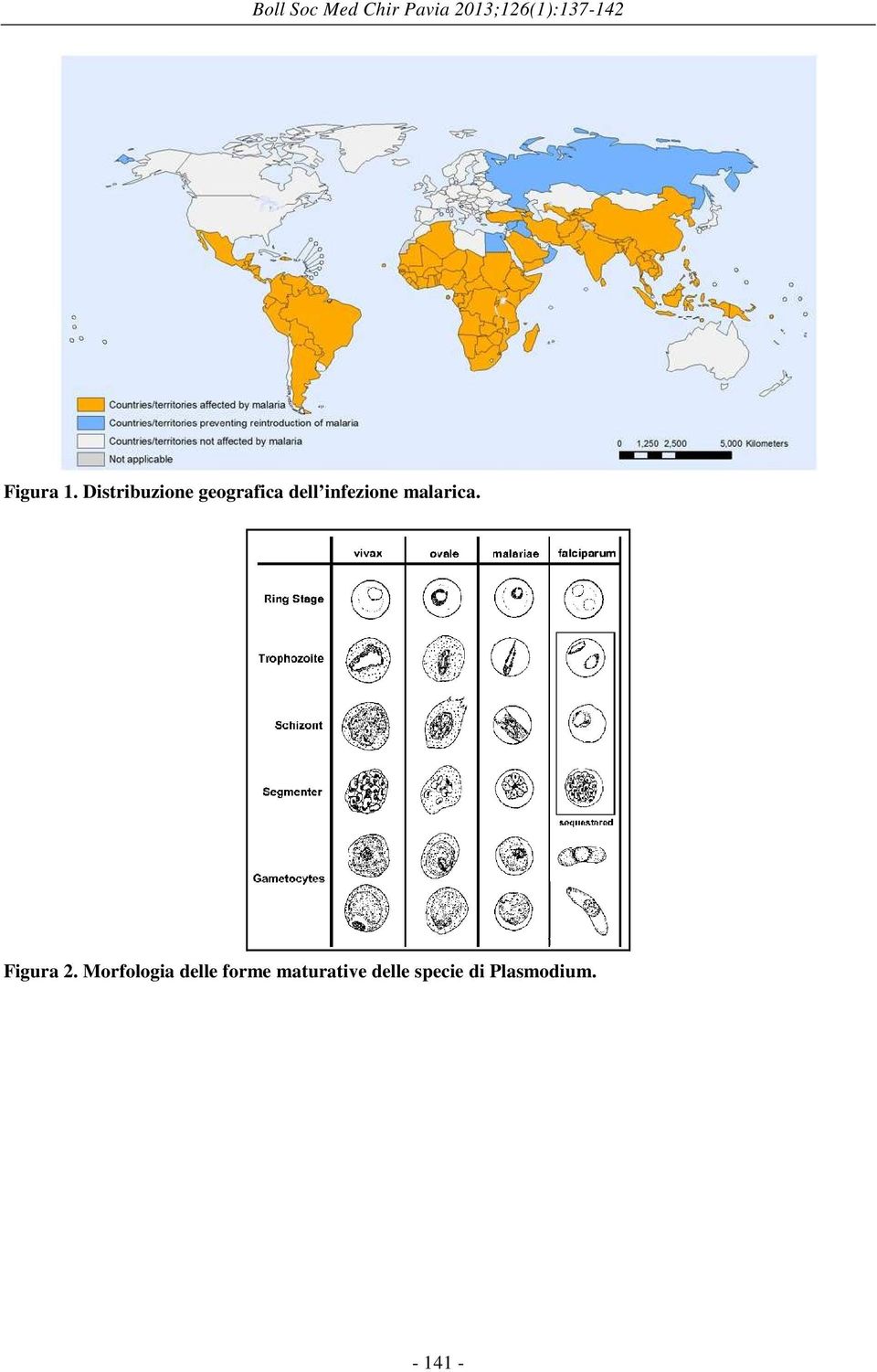 Distribuzione geografica dell infezione