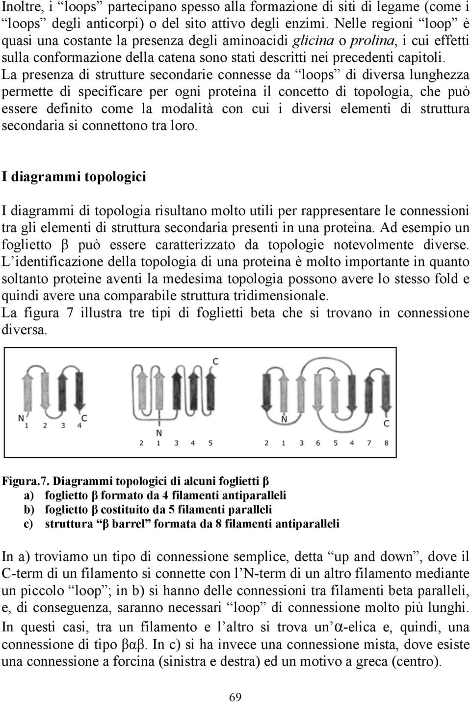 La presenza di strutture secondarie connesse da loops di diversa lunghezza permette di specificare per ogni proteina il concetto di topologia, che può essere definito come la modalità con cui i