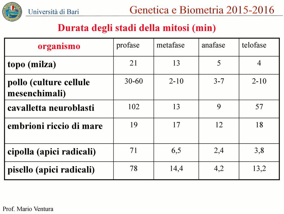 2-10 3-7 2-10 cavalletta neuroblasti 102 13 9 57 embrioni riccio di mare 19 17