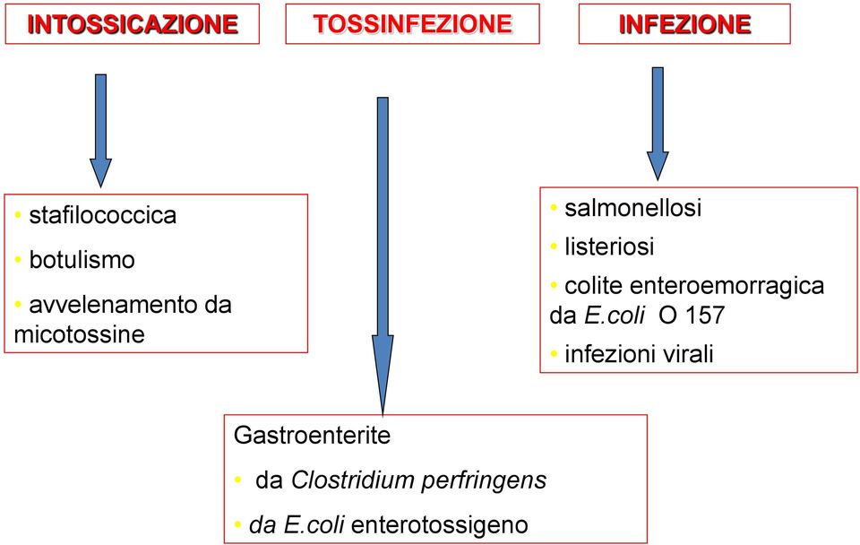 listeriosi colite enteroemorragica da E.