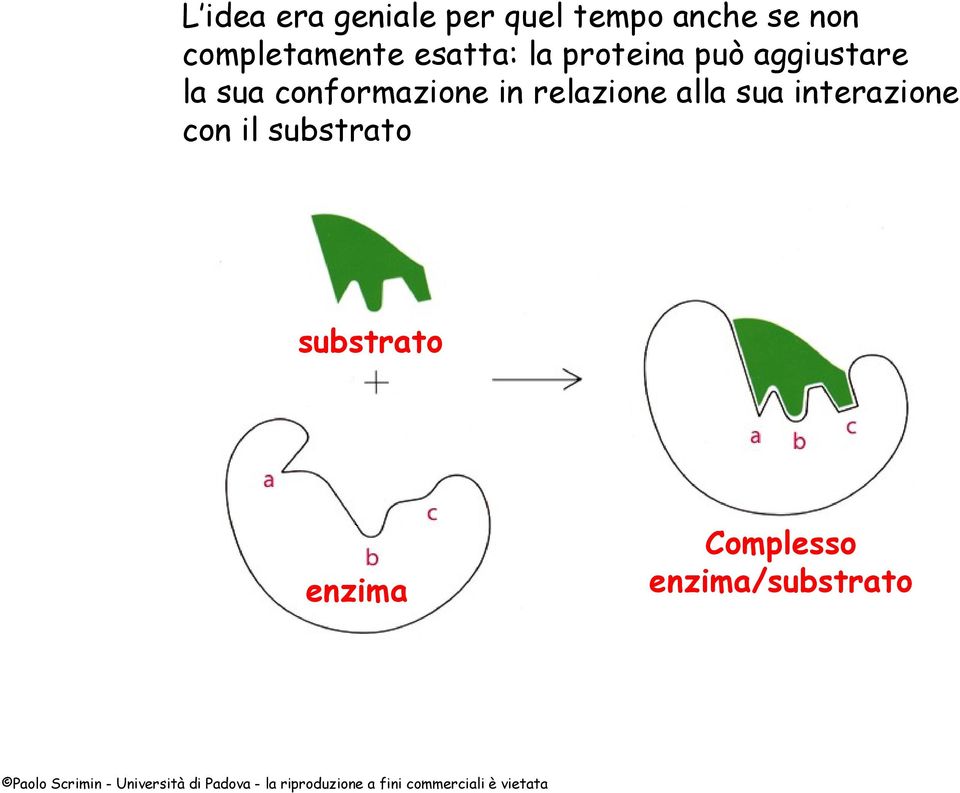 sua conformazione in relazione alla sua interazione