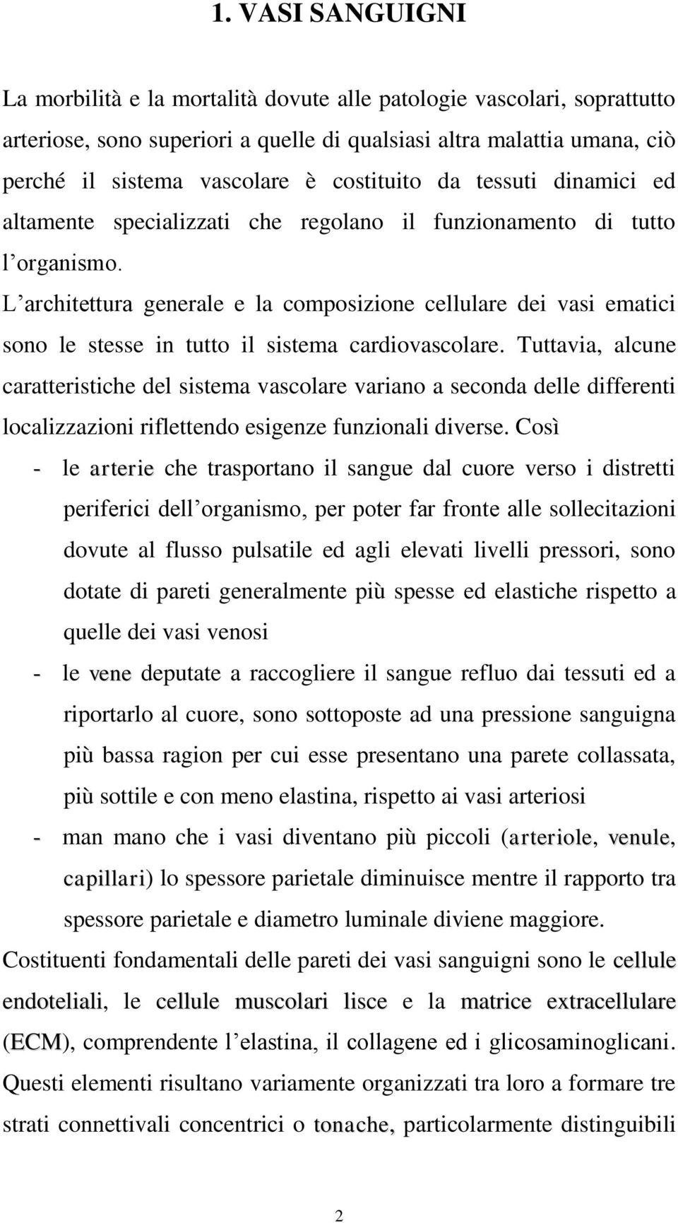 L architettura generale e la composizione cellulare dei vasi ematici sono le stesse in tutto il sistema cardiovascolare.