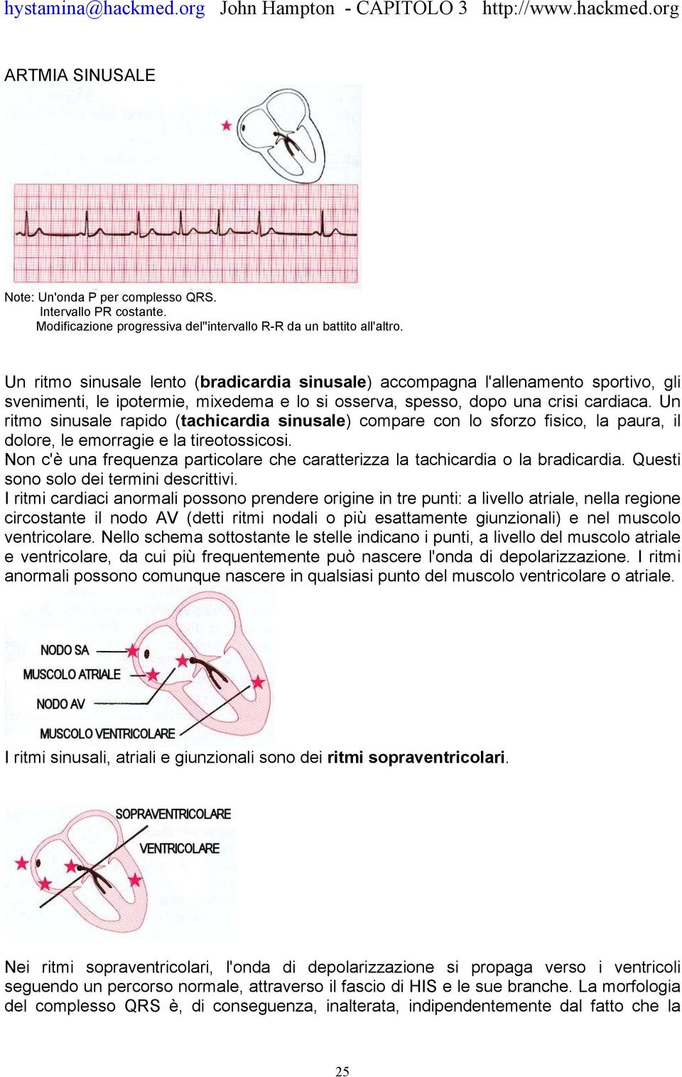 Un ritmo sinusale rapido (tachicardia sinusale) compare con lo sforzo fisico, la paura, il dolore, le emorragie e la tireotossicosi.