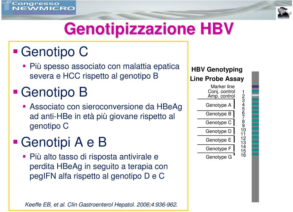 in seguito a terapia con pegifn alfa rispetto al genotipo D e C HBV Genotyping Line Probe Assay Marker line Conj. control Amp.