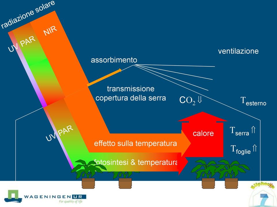 C esterno effetto sulla temperatura