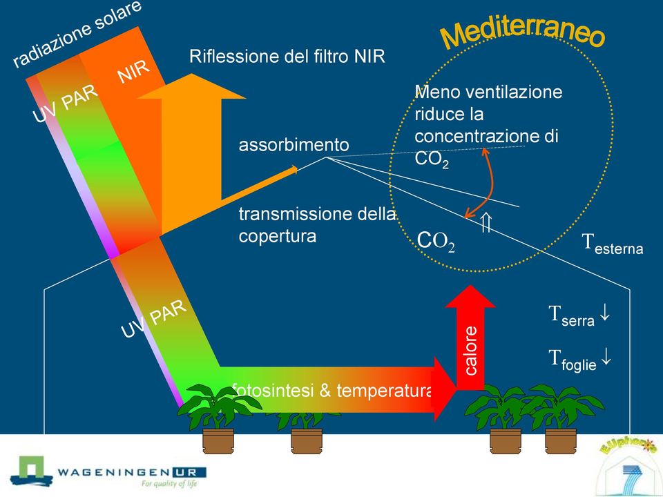 concentrazione di CO 2 transmissione della