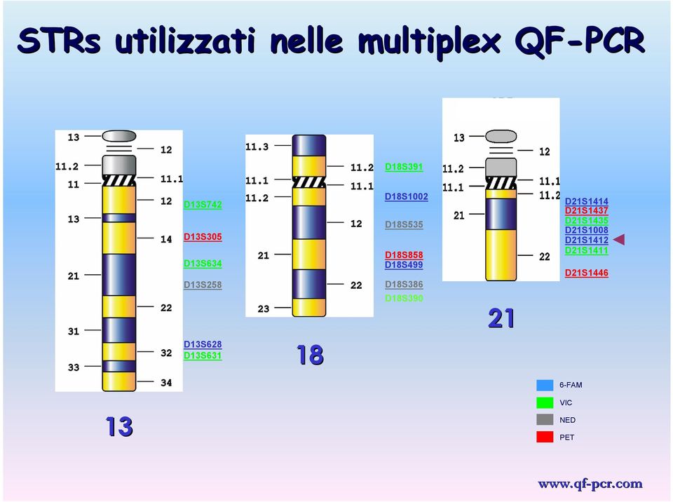 D18S858 D18S499 D18S386 D18S390 21 D21S1414 D21S1437 D21S1435