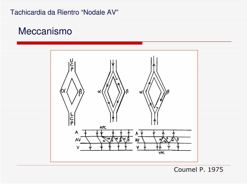 V Meccanismo