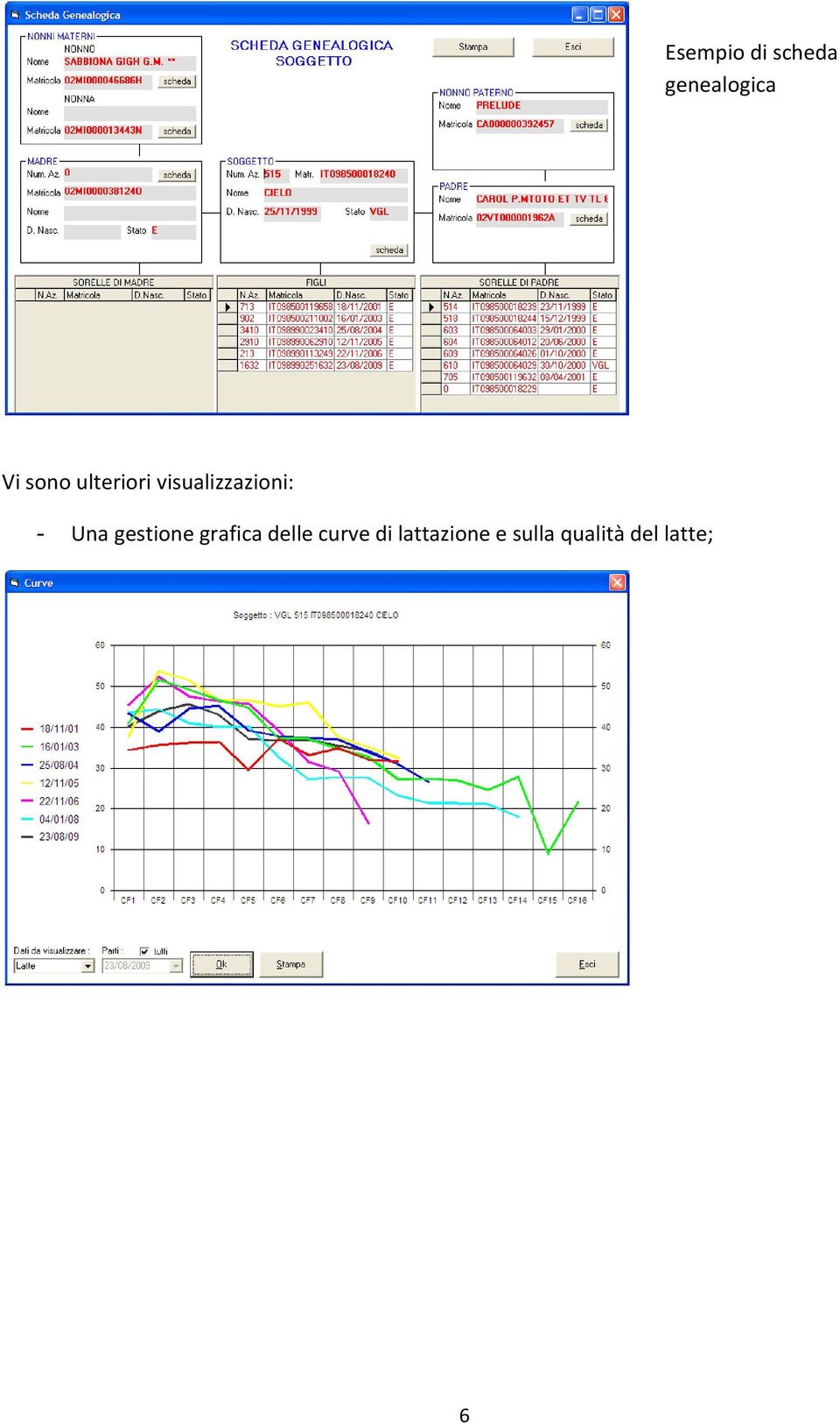 Una gestione grafica delle curve di