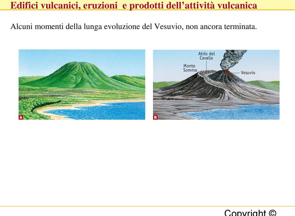 evoluzione del