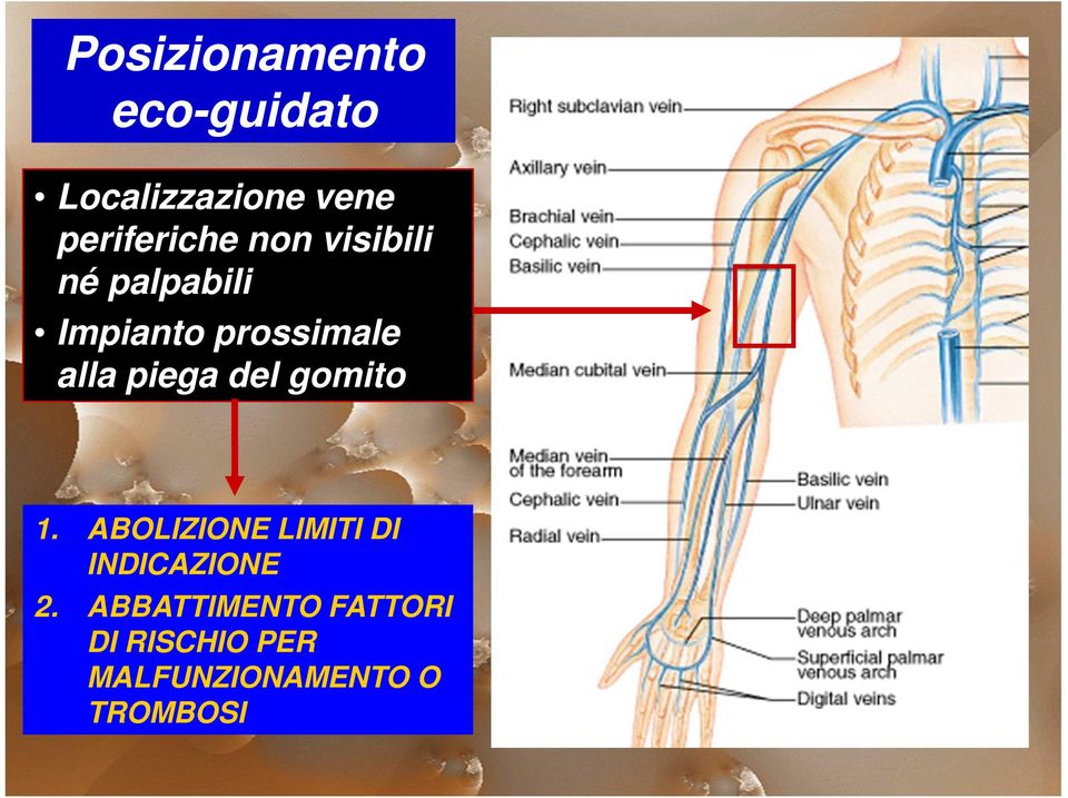 alla piega del gomito 1.