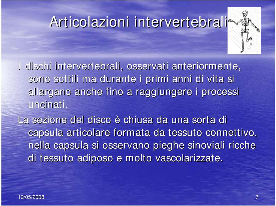 La sezione del disco è chiusa da una sorta di capsula articolare formata da tessuto connettivo,