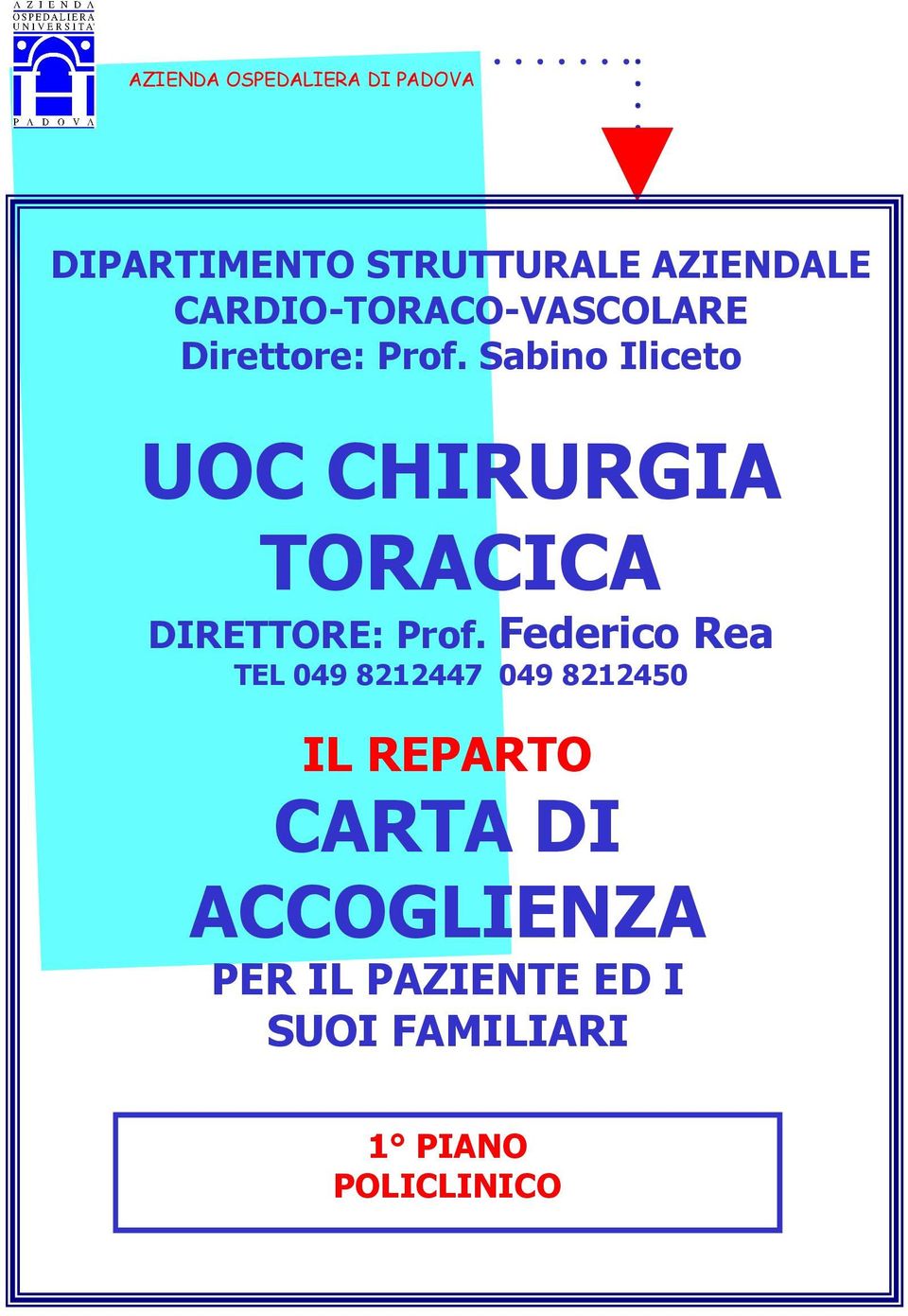 Sabino Iliceto UOC CHIRURGIA TORACICA DIRETTORE: Prof.