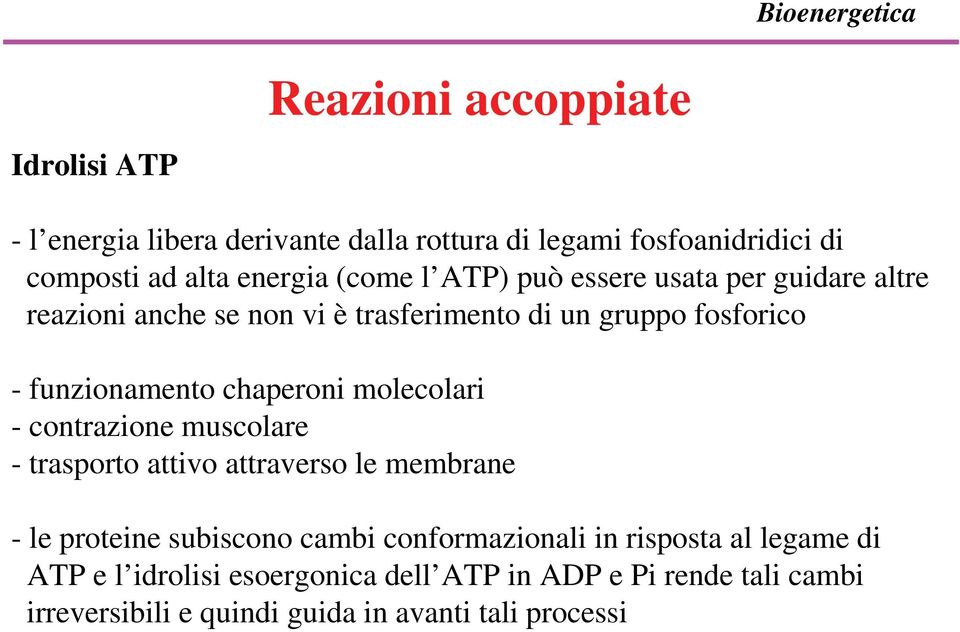 chaperoni molecolari - contrazione muscolare - trasporto attivo attraverso le membrane - le proteine subiscono cambi conformazionali