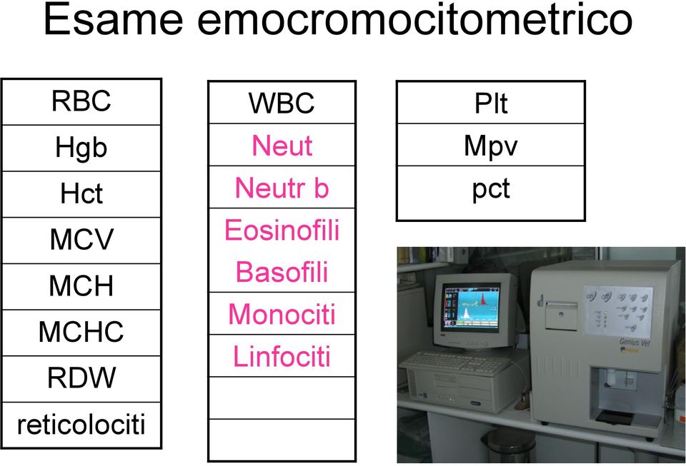 WBC Neut Neutr b Eosinofili