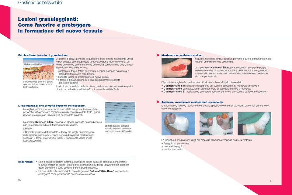 epitelizzazione della ferita dai bordi verso l interno. è ben accetto come approccio terapeutico per le lesioni croniche.