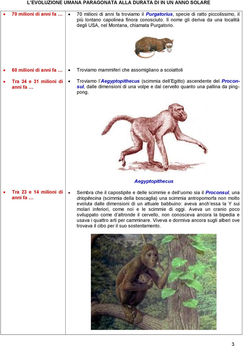 60 milioni di anni fa Troviamo mammiferi che assomigliano a scoiattoli Tra 34 e 31 milioni di anni fa Troviamo l Aegyptopithecus (scimmia dell Egitto) ascendente del Proconsul, dalle dimensioni di