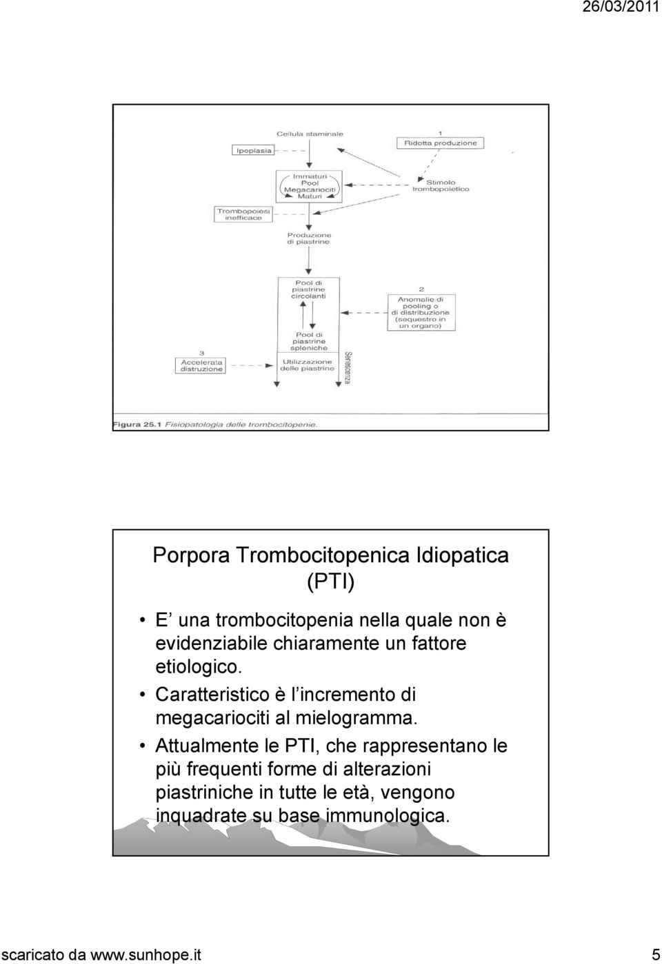 Caratteristico è l incremento di megacariociti al mielogramma.