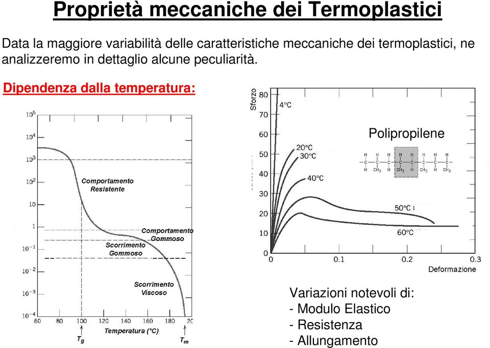 dettaglio alcune peculiarità.