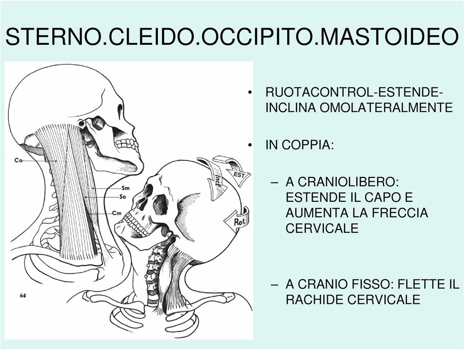 OMOLATERALMENTE IN COPPIA: A CRANIOLIBERO: