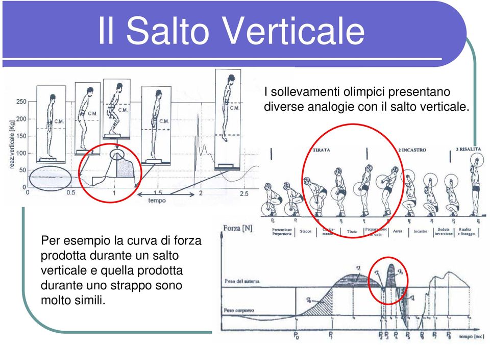 Per esempio la curva di forza prodotta durante un