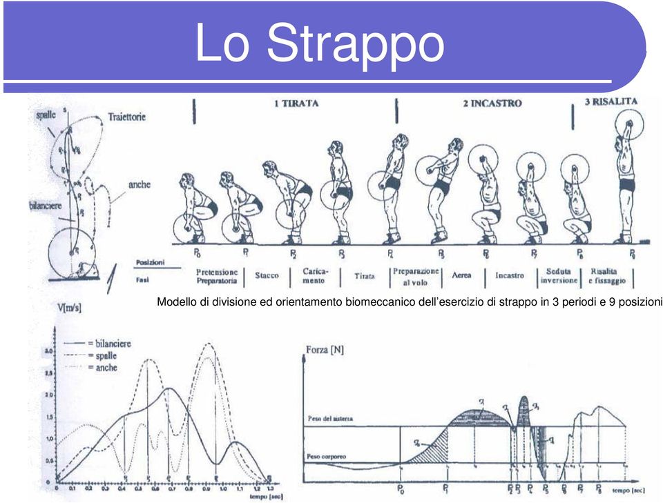 biomeccanico dell esercizio