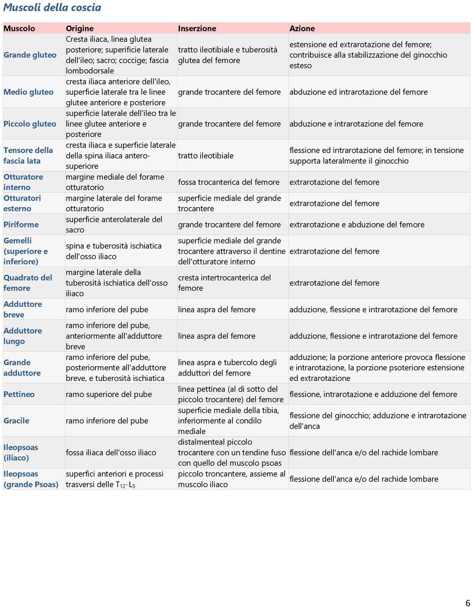 trocantere del femore abduzione ed intrarotazione del femore glutee anteriore e posteriore superficie laterale dell'ileo tra le Piccolo gluteo linee glutee anteriore e grande trocantere del femore