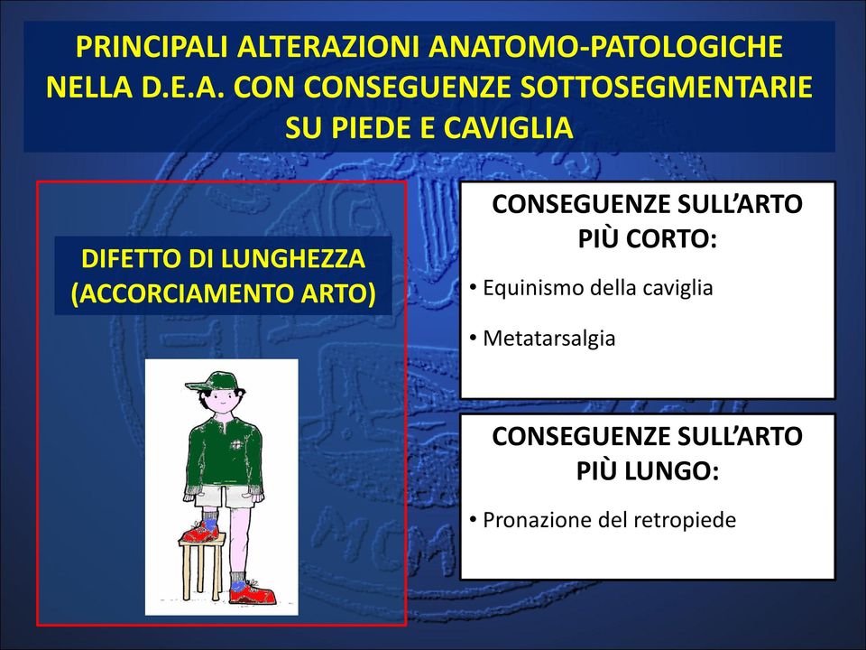 SOTTOSEGMENTARIE SU PIEDE E CAVIGLIA DIFETTO DI LUNGHEZZA