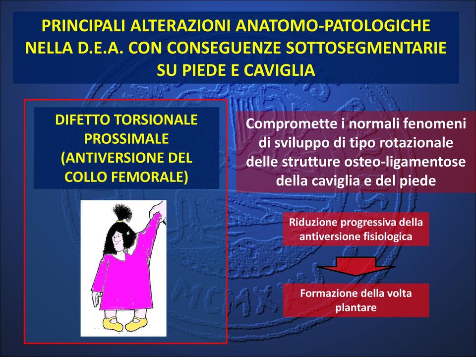 CAVIGLIA DIFETTO TORSIONALE PROSSIMALE (ANTIVERSIONE DEL COLLO FEMORALE) Compromette i normali