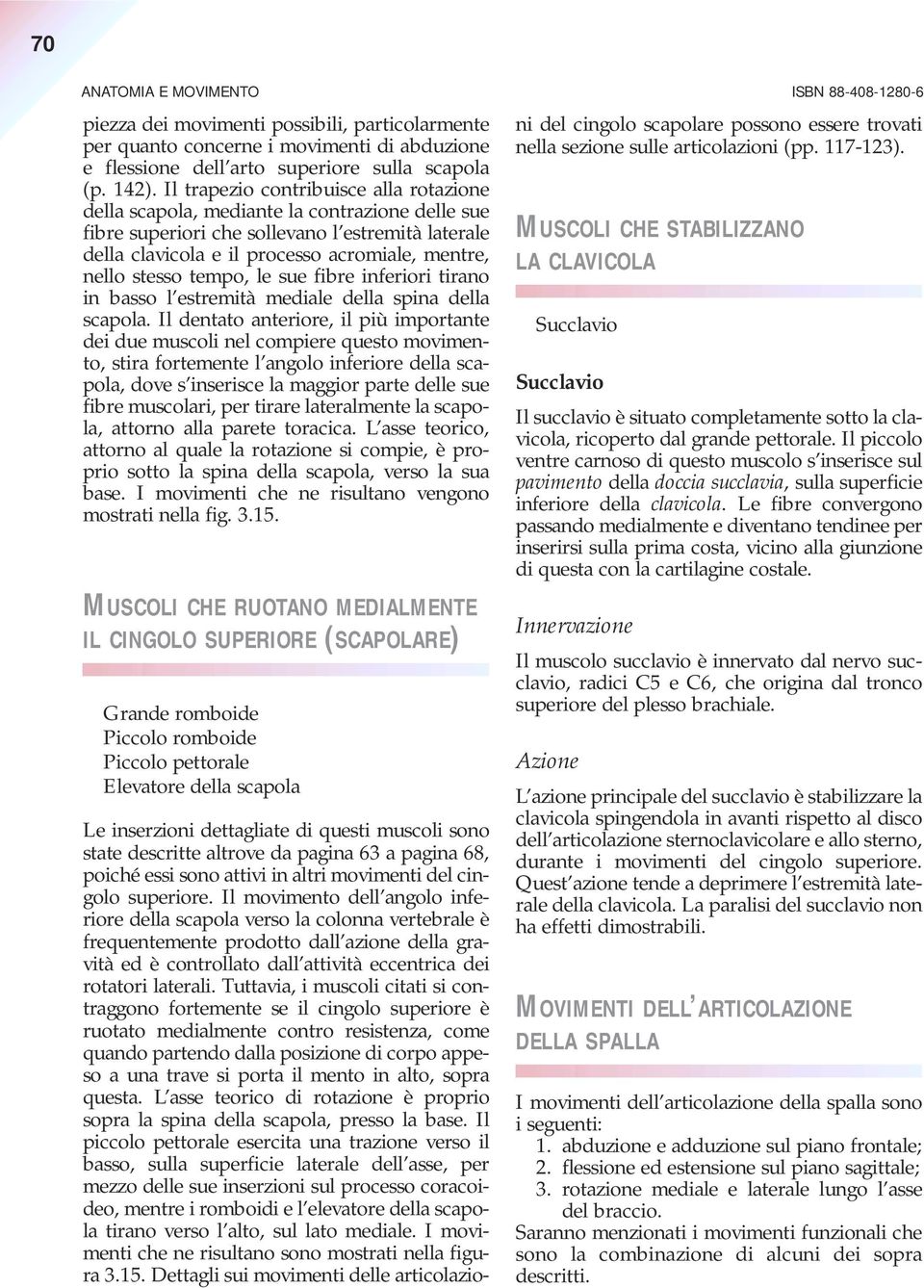 stesso tempo, le sue fibre inferiori tirano in basso l estremità mediale della spina della scapola.