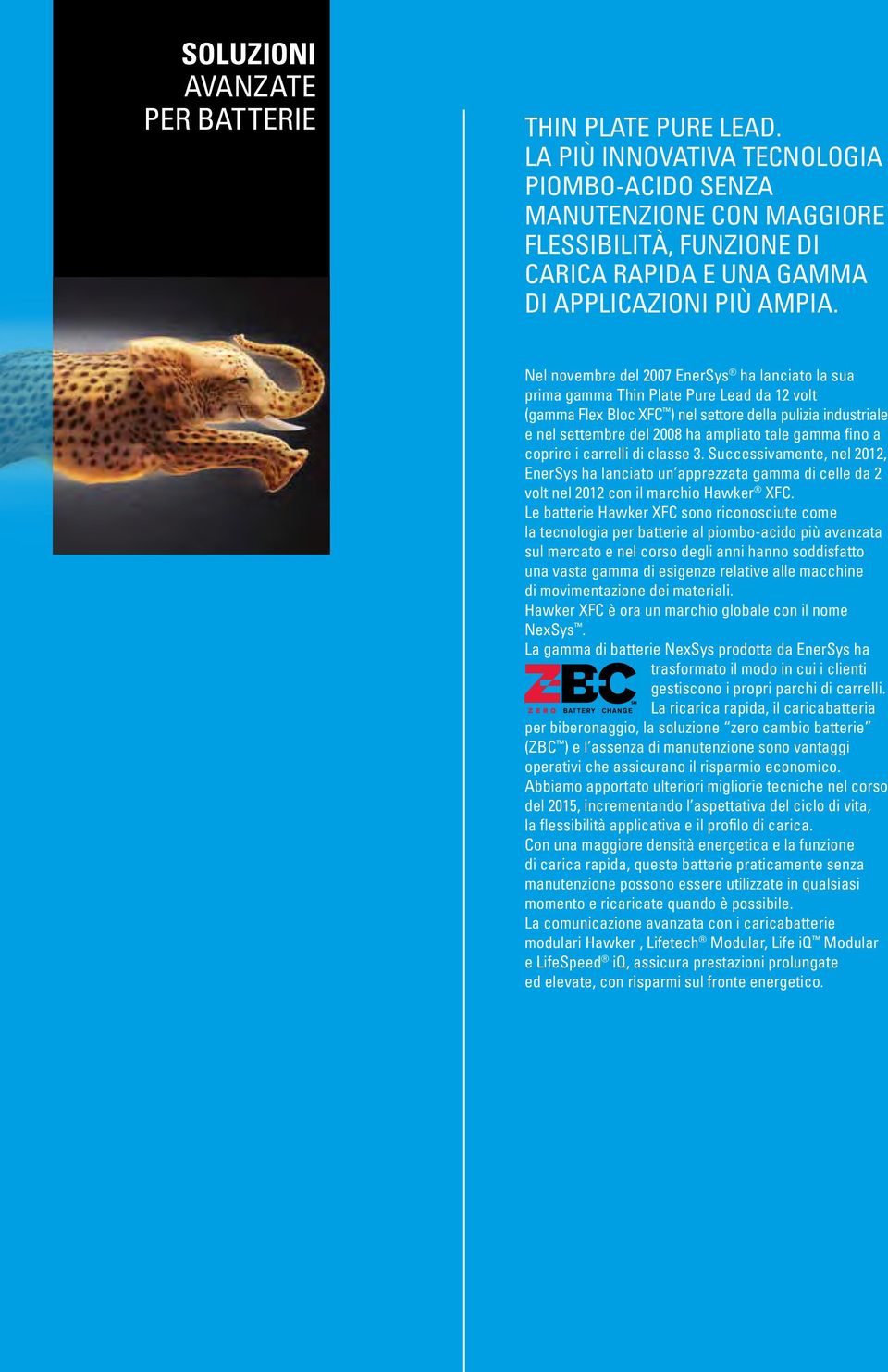 Nel novembre del 2007 EnerSys ha lanciato la sua prima gamma Thin Plate Pure Lead da 12 volt (gamma Flex Bloc XFC ) nel settore della pulizia industriale e nel settembre del 2008 ha ampliato tale