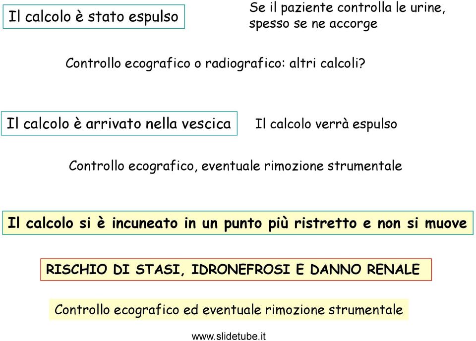 Il calcolo è arrivato nella vescica Il calcolo verrà espulso Controllo ecografico, eventuale rimozione