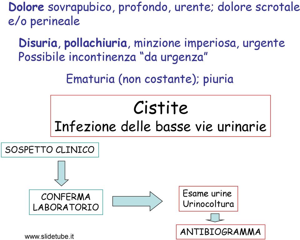 da urgenza SOSPETTO CLINICO Ematuria (non costante); piuria Cistite