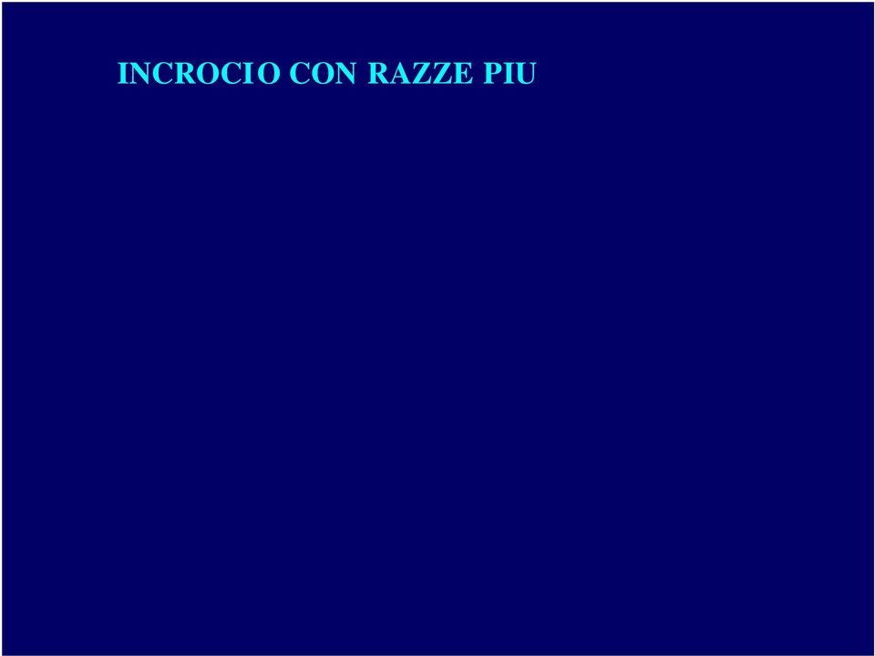 negli anni 60-70 in Italia,