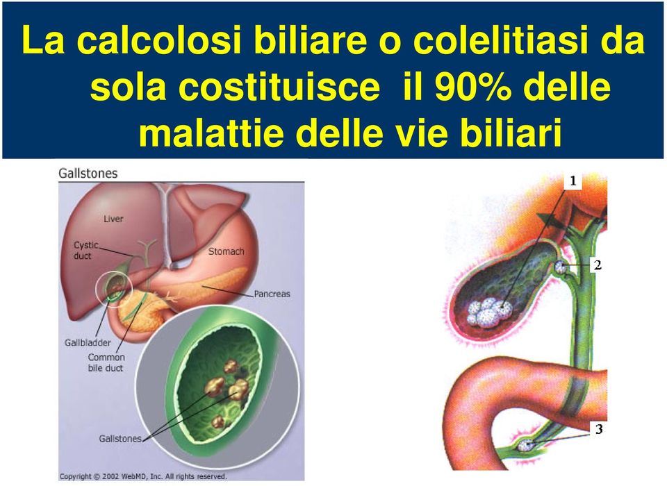 costituisce il 90%