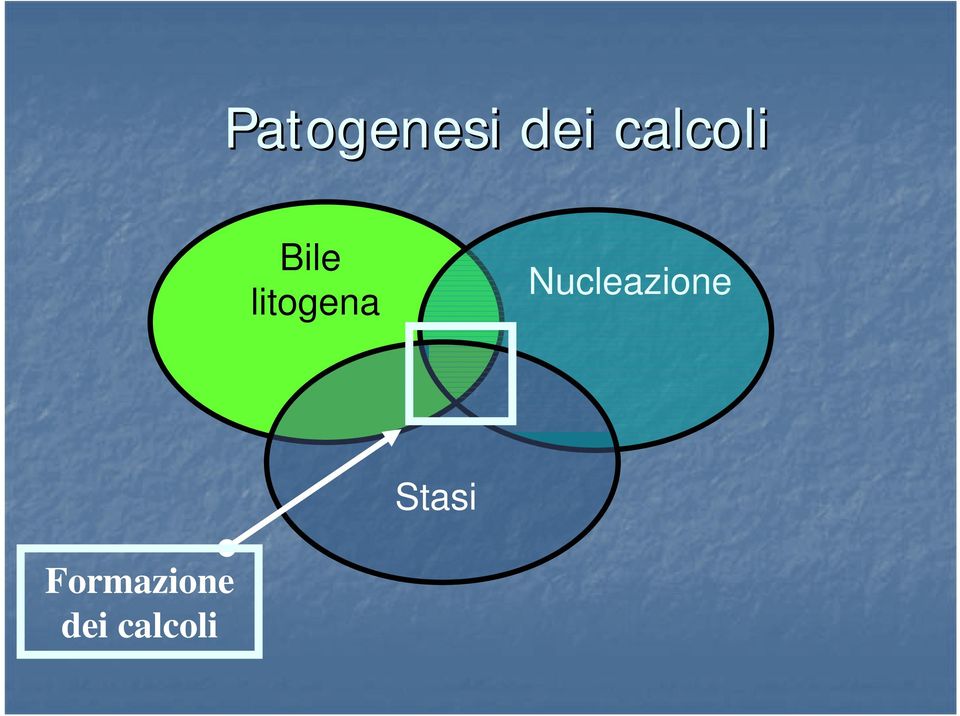 litogena