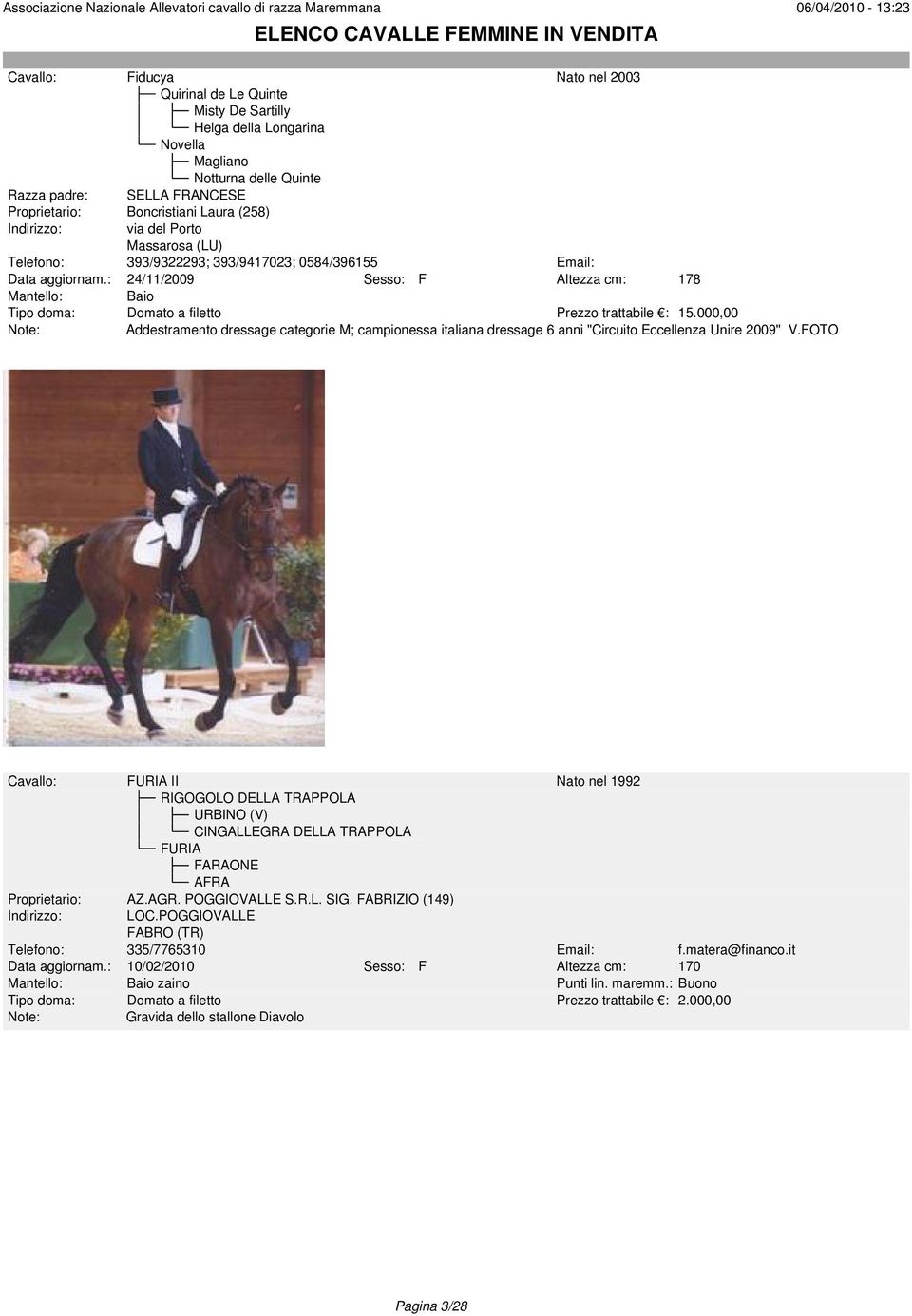 000,00 Addestramento dressage categorie M; campionessa italiana dressage 6 anni "Circuito Eccellenza Unire 2009" V.