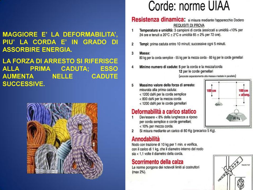 LA FORZA DI ARRESTO SI RIFERISCE ALLA