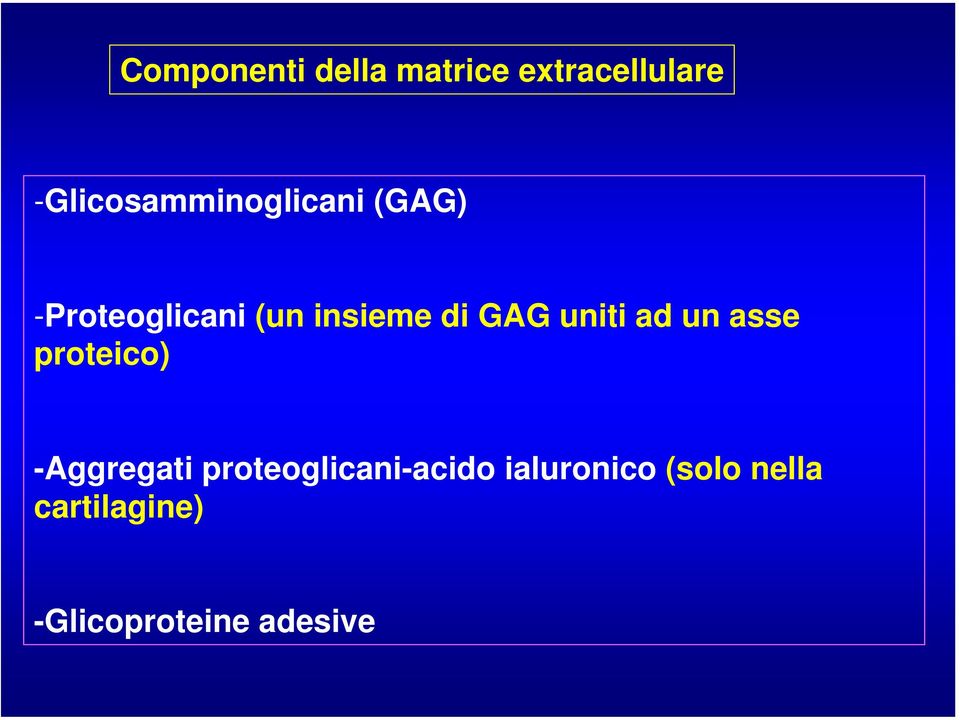 di GAG uniti ad un asse proteico) -Aggregati