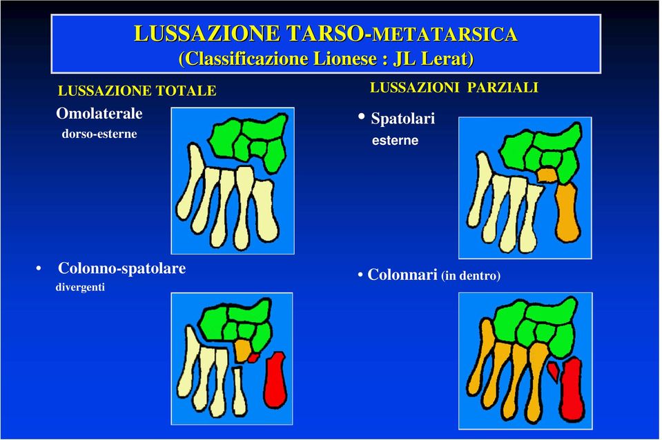 PARZIALI Omolaterale Spatolari dorso-esterne