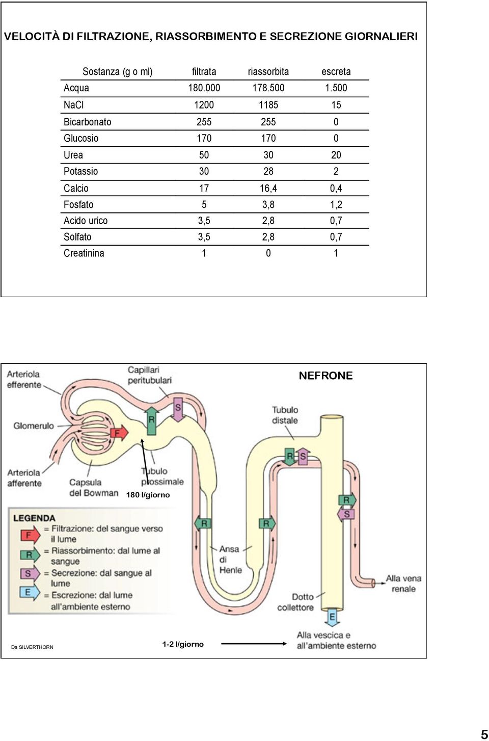 500 NaCl 1200 1185 15 Bicarbonato 255 255 0 Glucosio 170 170 0 Urea 50 30 20 Potassio 30 28 2