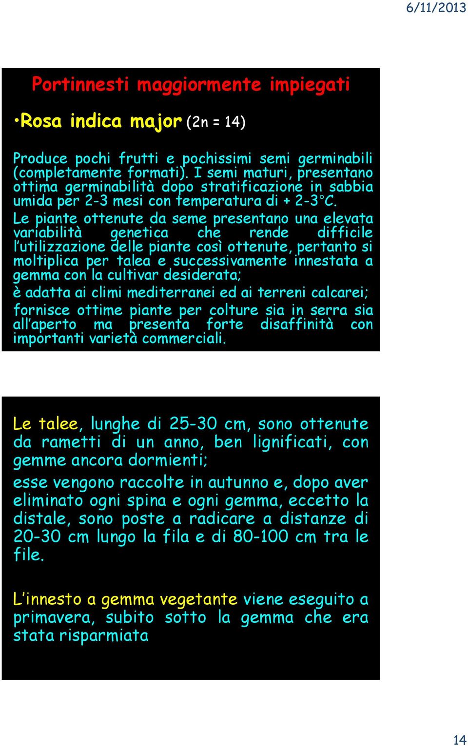 Le piante ottenute da seme presentano una elevata variabilità genetica che rende difficile l utilizzazione delle piante così ottenute, pertanto si moltiplica per talea e successivamente innestata a