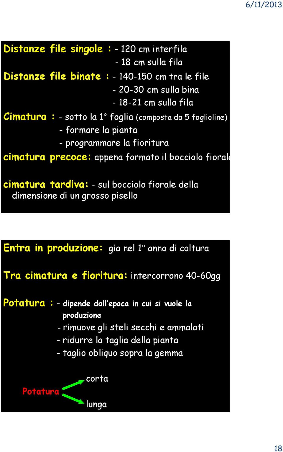 bocciolo fiorale della dimensione di un grosso pisello Entra in produzione: gia nel 1 anno di coltura Tra cimatura e fioritura: intercorrono 40-60gg Potatura : -