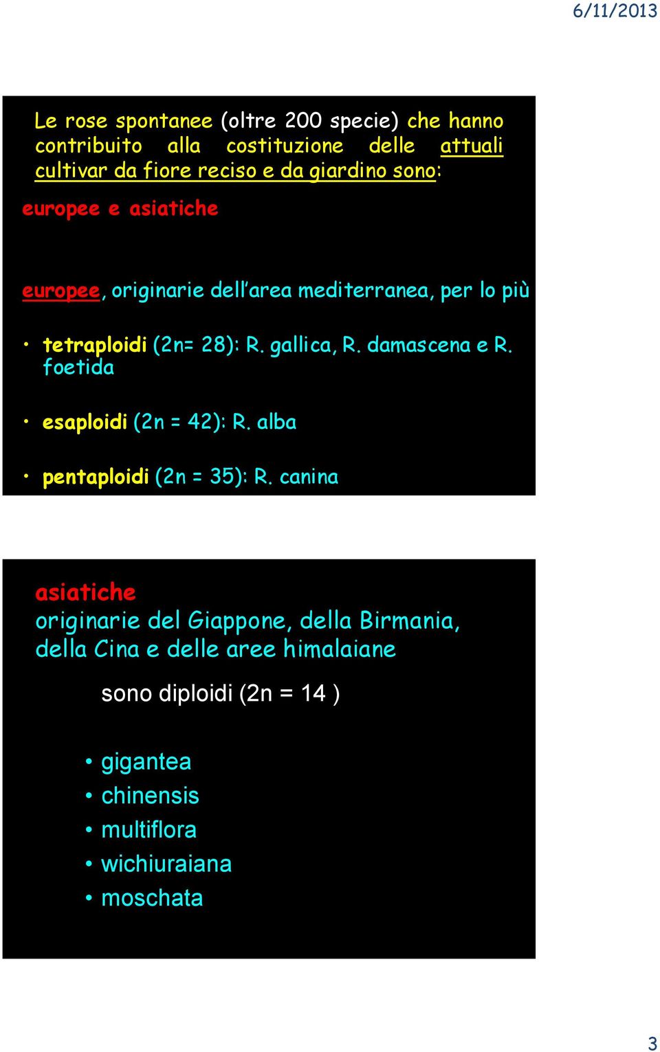 gallica, R. damascena e R. foetida esaploidi (2n = 42): R. alba pentaploidi (2n = 35): R.
