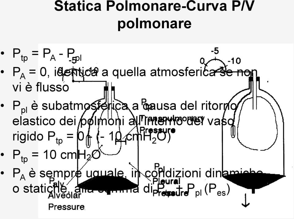 dei polmoni all interno del vaso rigido P tp = 0 - (- 10 cmh 2 O) P tp = 10 cmh 2 O