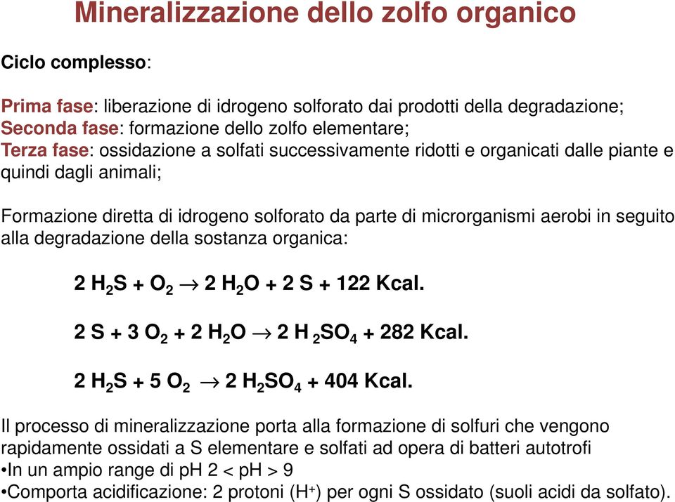 della sostanza organica: 2 H 2 S + O 2 2 H 2 O + 2 S + 122 Kcal. 2 S + 3 O 2 + 2 H 2 O 2 H 2 SO 4 + 282 Kcal. 2 H 2 S + 5 O 2 2 H 2 SO 4 + 404 Kcal.
