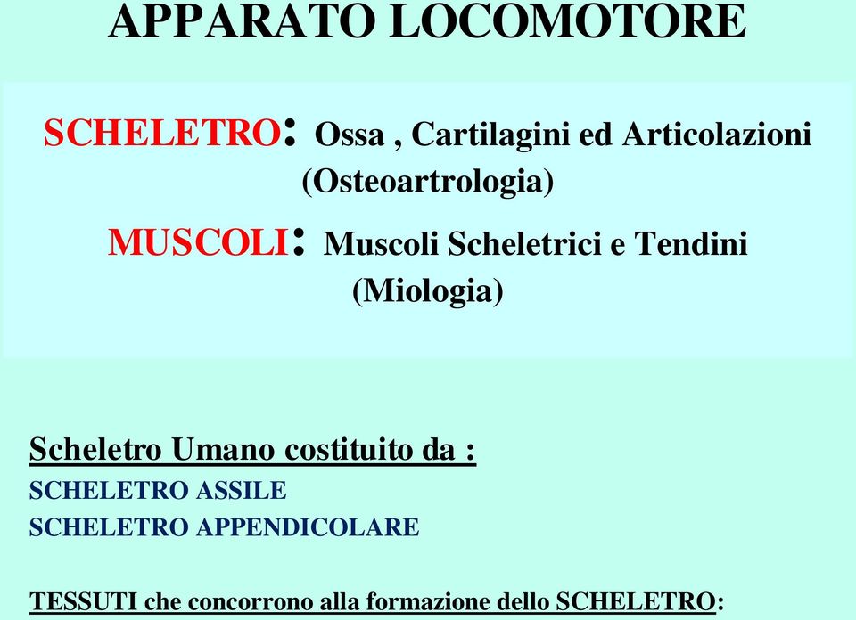 (Miologia) Scheletro Umano costituito da : SCHELETRO ASSILE