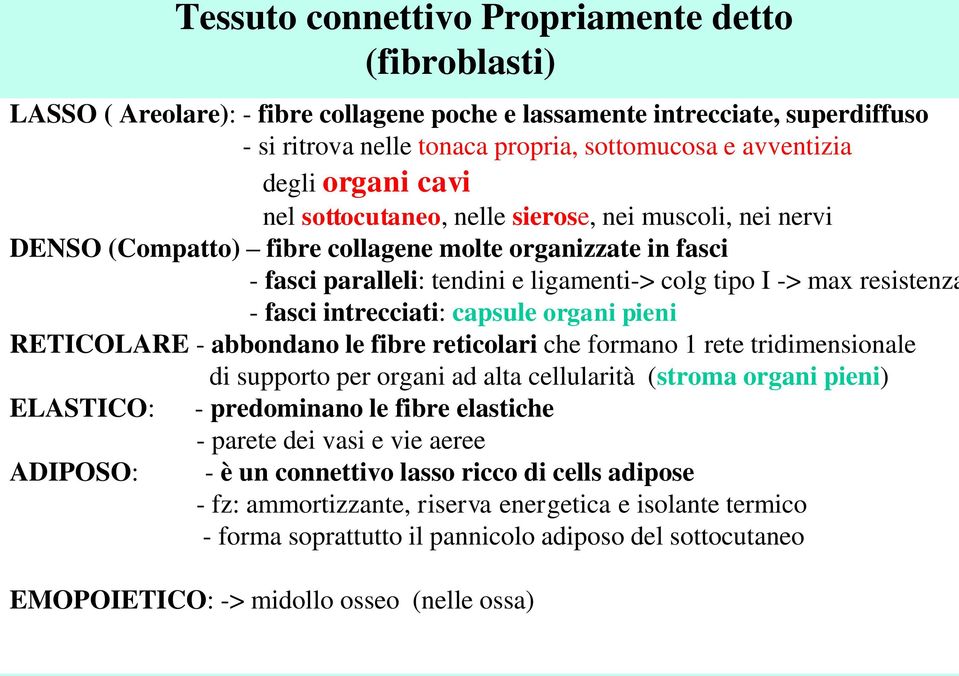 - fasci intrecciati: capsule organi pieni RETICOLARE - abbondano le fibre reticolari che formano 1 rete tridimensionale ELASTICO: ADIPOSO: di supporto per organi ad alta cellularità (stroma organi